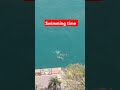 Swimmer's swim on the seaside everyday  #seaside #swimmer #excercise #short #viral #viralvideos