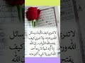 رسالة لعل كل ما يحدث لك خير وأنت لا تدري