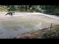 আমার গ্রামের ছোট একটি পুকুর। my. village short pond😭👈 myvillage vlog