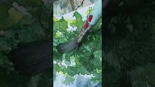 🎨 art water colour Short #drawing #flowers #video #