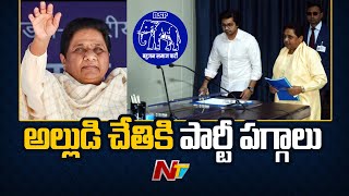 రాజకీయ వారసుణ్ణి ప్రకటించిన మాయావతి | Mayawati Announces Successor | Ntv