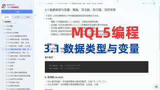 3.1 数据类型与变量（2024年MQL5编程快速入门教程）