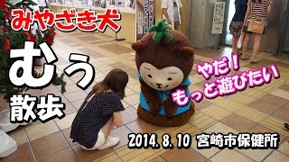 【みやざき犬】むぅ散歩(2014.8.10)