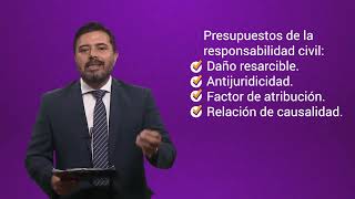 Derecho Privado VIII (Daños) - Parte 1 - Responsabilidad civil, el daño y la antijuricidad