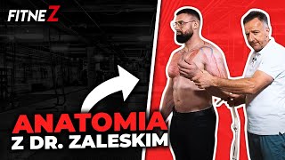 BIOMECHANIKA I ANATOMIA STAWU ŁOKCIOWEGO  - WYKŁAD