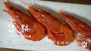 留。跡｜EP49－立秋：胭脂蝦 オオミツトゲチヒロエビ 赤蝦正油生漬