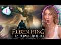 Welcome to The LAND OF SHADOW | Elden Ring Shadow of The Erdtree DLC (No Summons) | Part 1