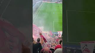 Tor für den effzeh. FC Köln Fans in Frankfurt