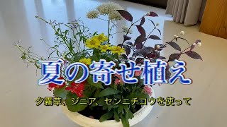 夏の寄せ植え！夕霧草、ジニア、千日紅を使って！！