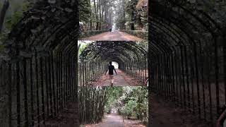 National Botanical Garden। বোটানিক্যাল গার্ডেন ঢাকা মিরপুর। জাতীয় উদ্ভিদ উদ্যান।#ytshorts #travel