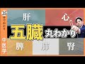 【五臓まとめ】中医学の「五臓」を徹底解説！｜総集編【9割が知らない中医学】