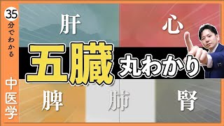 【総集編】中医学の「五臓」を徹底解説！【9割が知らない中医学】