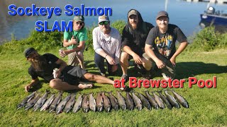 Slammin' Sockeye Salmon at Brewster Pool