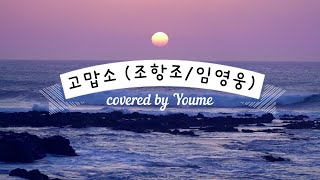 고맙소 (조항조/임영웅) covered by #유미TV #고맙소 #여자커버 #성대결절극복중