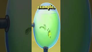 Spongebob Deleted Scenes are Really Wild