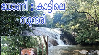 ധോണി:-  കാട്ടിലെ സുന്ദരി/dhoni water falls