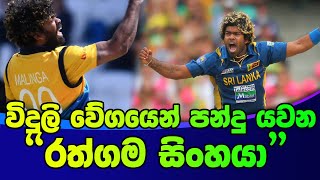 විදුලි වේගයෙන් පන්දු යවන රත්ගම සිංහයා | Lasith Malinga - \