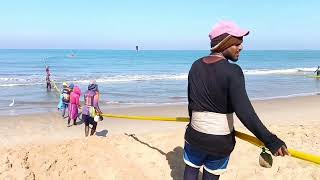 Wow 😮 !! Amazing net fishing video in sea beach \