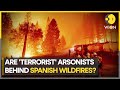 Spain's Asturias ravaged by wildfire | World News | WION