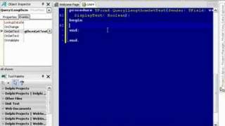 Delphi Programming Tutorial #40 - Field Properties