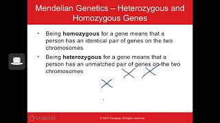 PSY 102 - Chapter 4 (Genetics \u0026 Evolution)