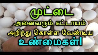 முட்டை : அனைவரும் கட்டாயம் அறிந்து கொள்ள வேண்டிய உண்மைகள்!