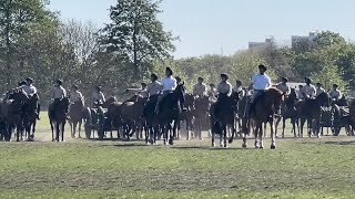 Military Horse Training - புழுதியைக் கிளப்பும் குதிரைப் பயிற்சி