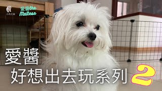 「瑪爾濟斯-愛醬」好想出去玩系列2