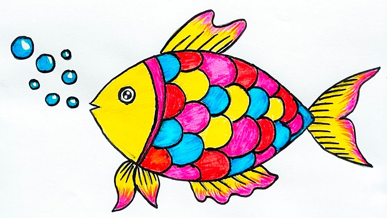 Fish Drawing For Kids Colored Trace And Color Coloring Book With Cute