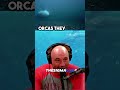 the tragic truth about orcas in captivity jre joerogan jre animalshorts animalfacts