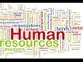 English for Human Resources VV 43 - HR Management (1) | Business English Vocabulary