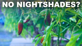 Nightshades (probably) aren't hurting you (tomatoes, peppers, potatoes, eggplant, etc)