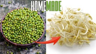 Growing (Togue) Munggo Beans SPROUTS at Home | ANG SARAP GRABE