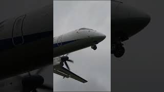 [小型機でも迫力が凄い!!] ANA ボンバルディアDHC8 Q400 RWY32L 着陸 #千里側土手 #shorts