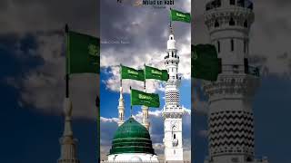 Wo Sare Rasoolon Ka Sultan Aayaﷺ...|Eid Milad_Un_Nabi|#shorts #shortvideo #status #islamic #viral..