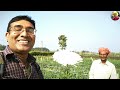 khirai ভুলে যাবেন আসুন চাপড়া রানাঘাট flower village chapra flower market ranghat chapra flower