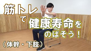 1日1動！筋トレで健康寿命をのばそう！　日中に椅子に座って行う筋トレ（体幹・下肢）