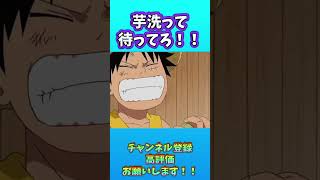 【ONE PIECE面白】芋洗って待ってろ！！！【ワンピース】#shorts