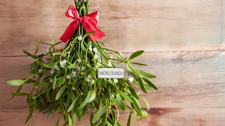 End diabetes! Mistletoe and blood pressure.