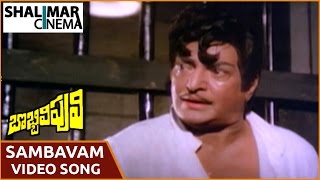 Bobbili Puli Movie || Sambavam Neeke Sambavam Video Song || N.T. R, Sridevi || Shalimarcinema