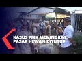 Kasus PMK Meningkat, Pasar Hewan di Jember Ditutup