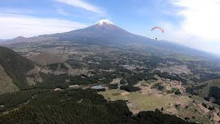 春の朝霧高原(猪之頭)です。　#スカイ朝霧