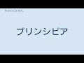 言語別聖書の一覧