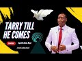 TARRY TILL HE COMES/ HOW TO FIND GOD #apostleaaromeosayi #trending #viral #prayer #spirituality