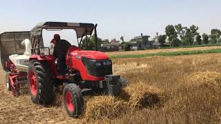 Kubota \u0026 KSA straw reaper