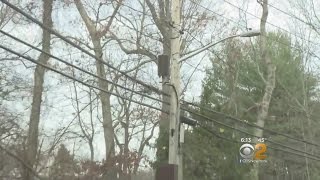 CBS2 Exclusive: Residents Uneasy About Long Island Cell Phone Poles