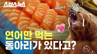 연어 좋아하는 사람은 꼭 봐야하는 영상 (#친구야_너야) / 스브스뉴스