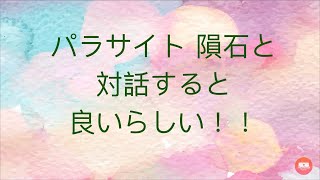 パラサイト　セイムチャン　メテオライト　隕石と対話すると良いらしい！現実的な願い事が叶うらしい！隕石と会話する　ロシア産　ギベオン　スピリチュアル