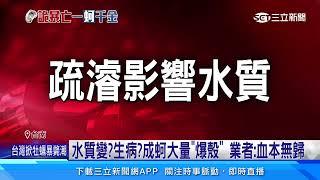 台南養殖蚵暴斃「消失4億元」牡蠣醫師採水檢測｜三立新聞網 SETN.com