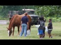 Arkansas Farm Bureau - Back to Nature